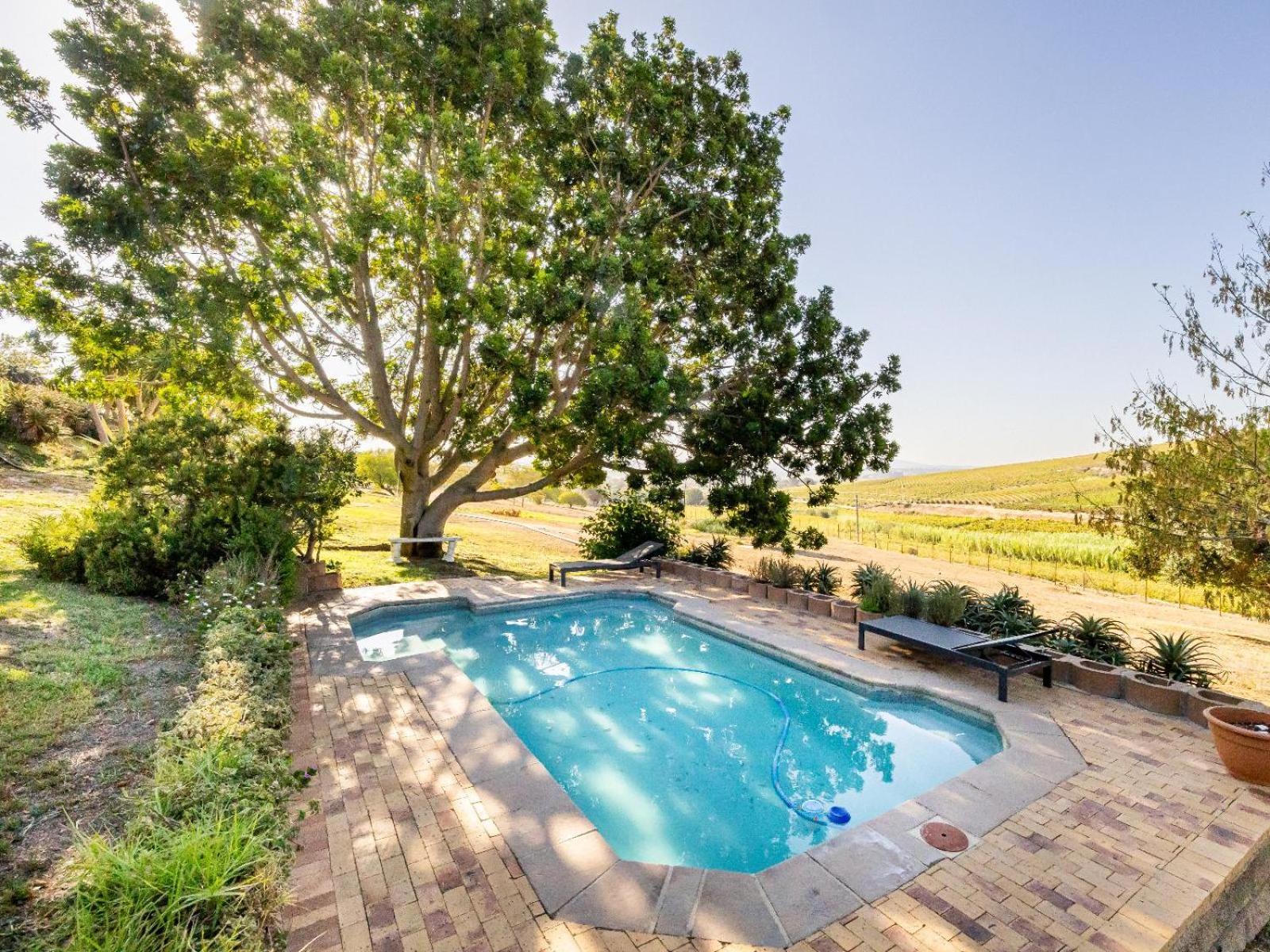 Belcharto Accommodation Stellenbosch Exteriör bild